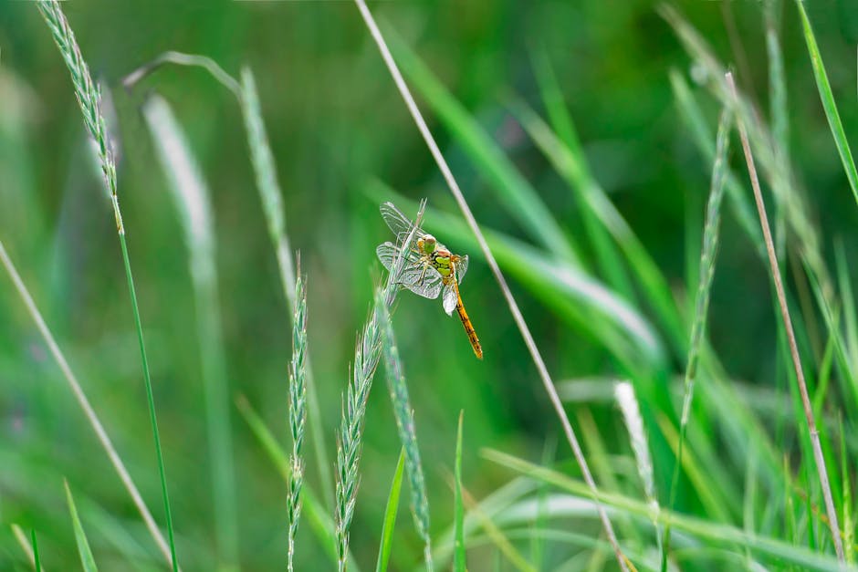 Grundlagen der Wildpflanzen-Artbestimmung