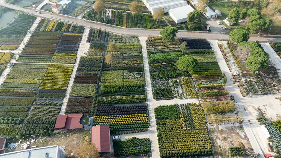 Schritt-für-Schritt Pflanzenerkennung im Freien
